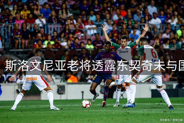 斯洛文尼亚老将透露东契奇未与国家队联系 专心筹备训练营