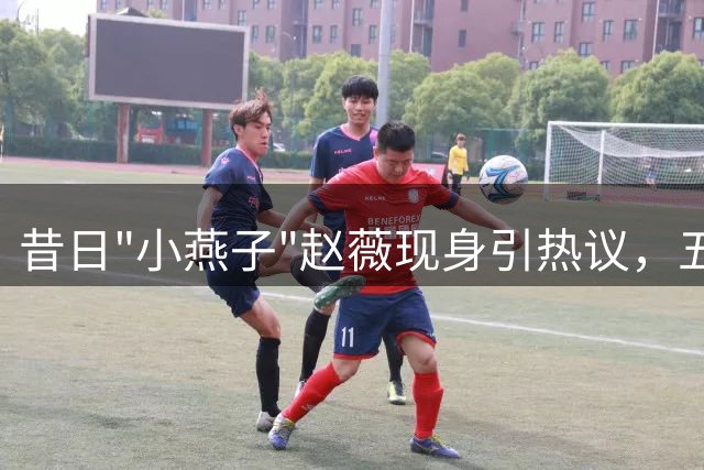 昔日"小燕子"赵薇现身引热议，五年沉寂暴瘦难辨认